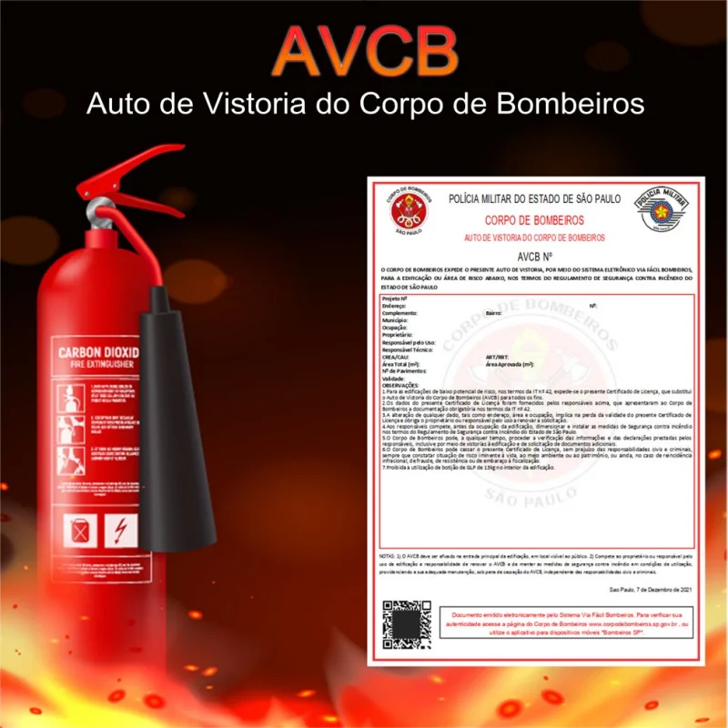 Consultoria avcb para empresas